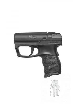 P2P PGS Personal Guard System